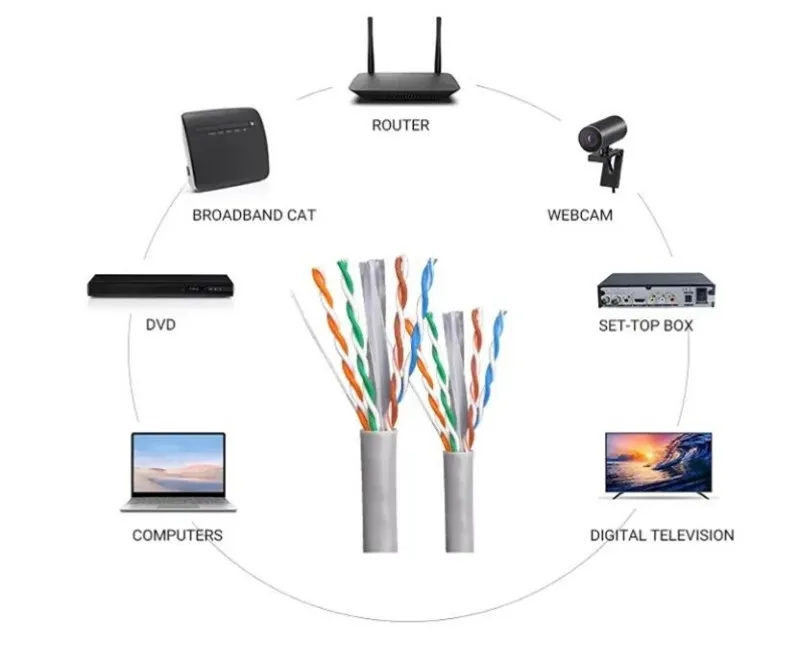 CAT6 UTP Lan Cable - 2